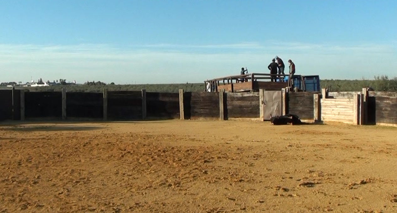 Toros desde La Petatera 2